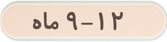 ۹-۱۲ماه